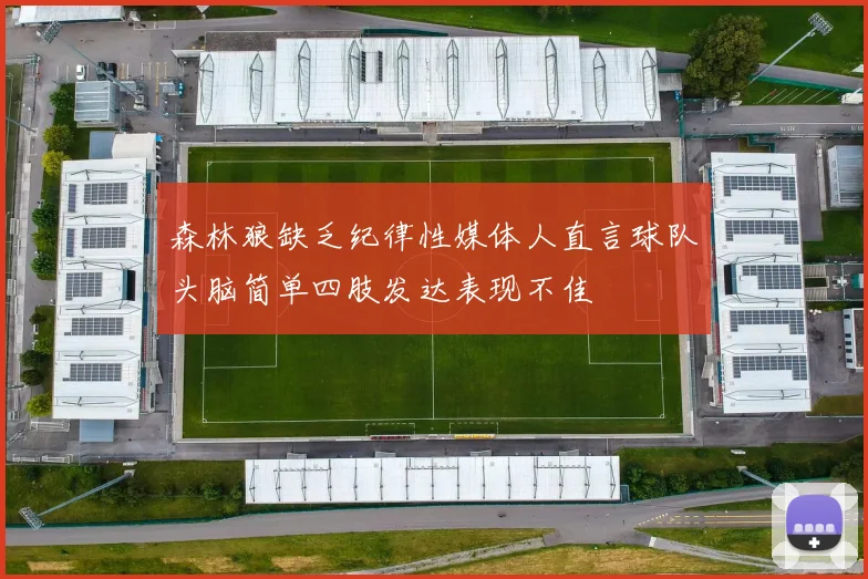 森林狼缺乏纪律性媒体人直言球队头脑简单四肢发达表现不佳