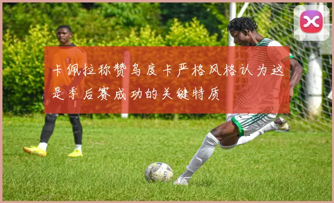 卡佩拉称赞乌度卡严格风格认为这是季后赛成功的关键特质