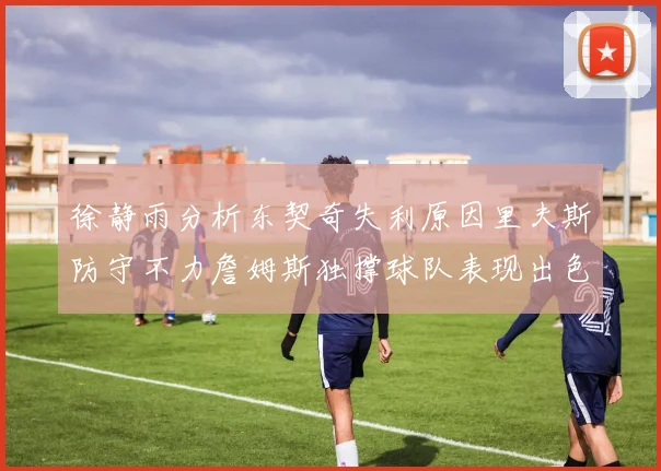 徐静雨分析东契奇失利原因里夫斯防守不力詹姆斯独撑球队表现出色