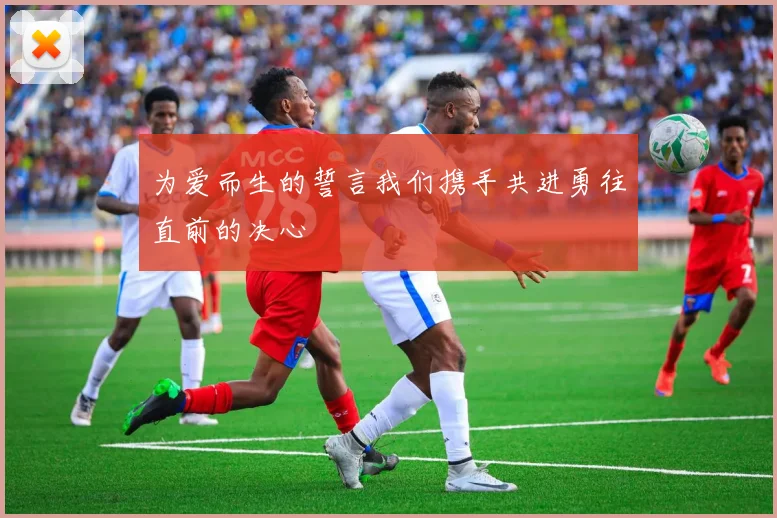 为爱而生的誓言我们携手共进勇往直前的决心