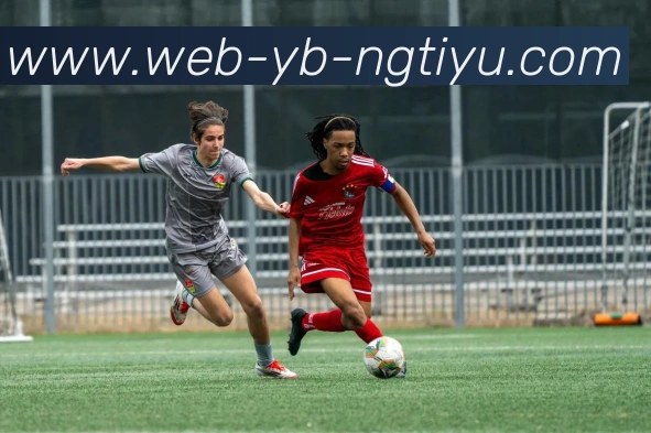 南宫体育平台生态图