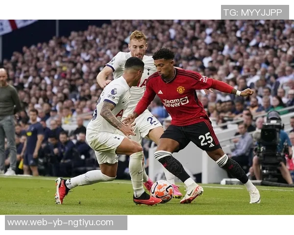 纳尼称帕利尼亚符合曼联精神具备为任何顶级球队效力的能力