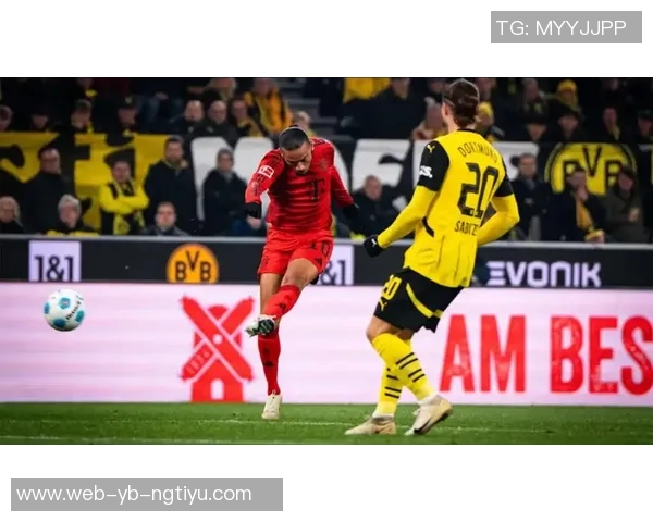 德甲新赛季观众热情高涨多特与拜仁上座人数引领潮流